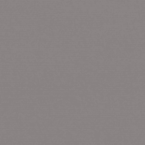cadet grey plus