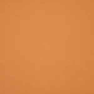 Orchestra Sable 0034