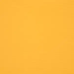 Orchestra Jaune 6316