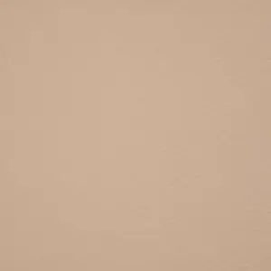 Orchestra Beige 8902