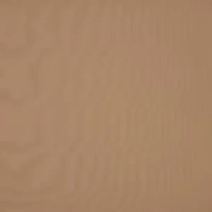 Orchestra Toast 8891