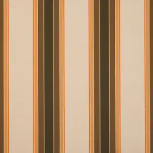 Orchestra Goldies Ascot Marron 0842