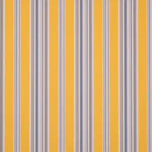 Orchestra Goldies Windsor Jaune 6292