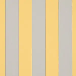 Orchestra Goldies Sienne Jaune D303