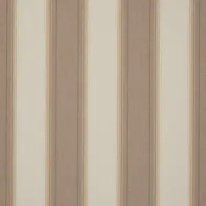 Orchestra Goldies Boston Marron D318