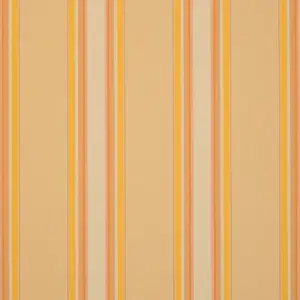 Orchestra Chicago Jaune 7467