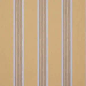 Orchestra Manosque Jaune D107