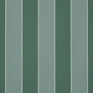 Orchestra Sienne Vert D302