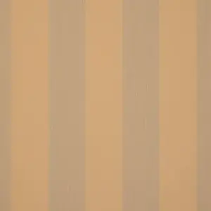 Orchestra Pencil Jaune D323