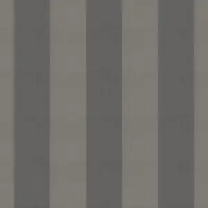 Orchestra Harmonie Gris D534