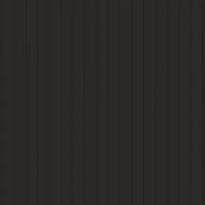 Orchestra Solstice Carbone D536