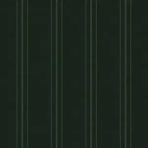 Orchestra Halo Olive D541