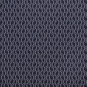 adaptation indigo