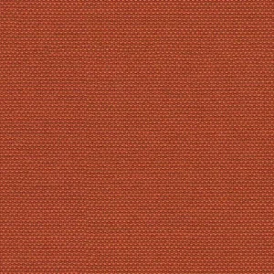 sja_p107_137_solid_antelope_zoom_582329.webp