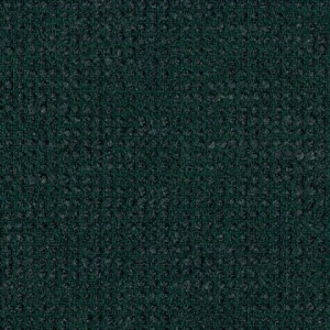 slo_19104_140_slow_forest_zoom_275102[1]