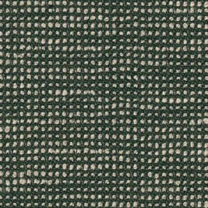 slo_19106_140_slow_fern_zoom_275290[1]